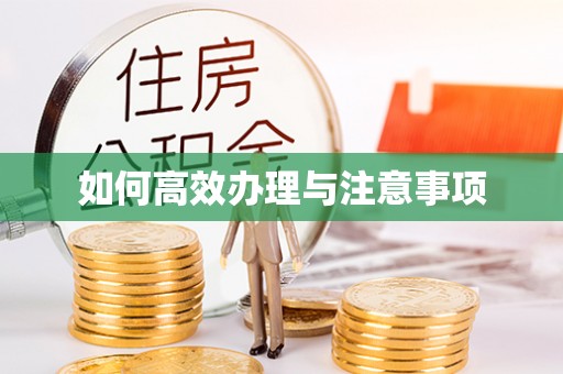 渝中如何高效办理与注意事项