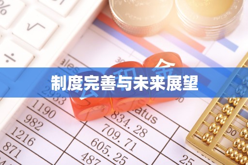 渝中制度完善与未来展望