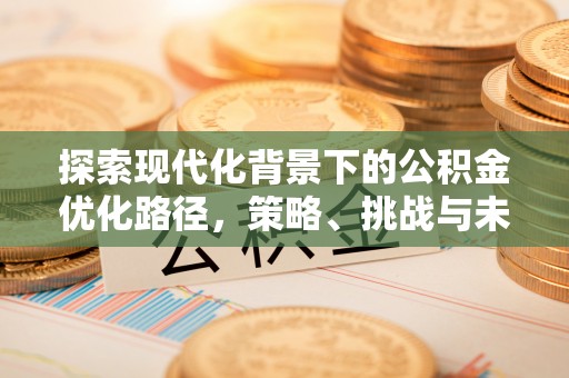 渝中探索现代化背景下的公积金优化路径，策略、挑战与未来展望