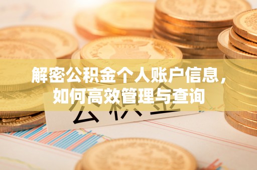 渝中解密公积金个人账户信息，如何高效管理与查询