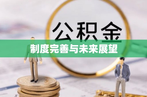 渝中制度完善与未来展望