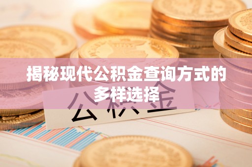 渝中揭秘现代公积金查询方式的多样选择