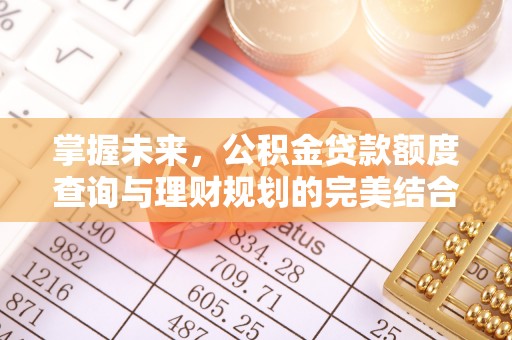 渝中掌握未来，公积金贷款额度查询与理财规划的完美结合