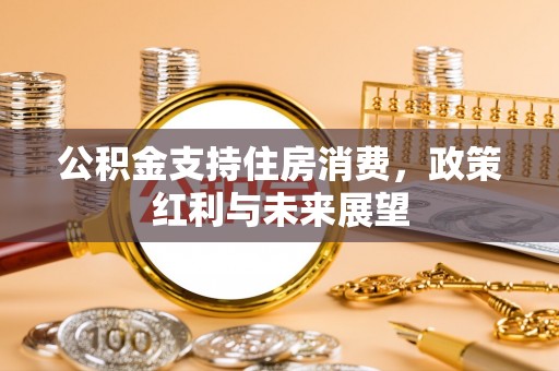 渝中公积金支持住房消费，政策红利与未来展望