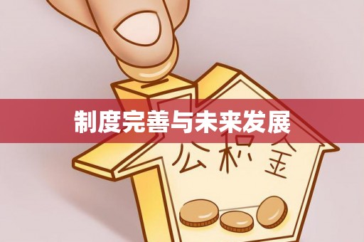 渝中制度完善与未来发展