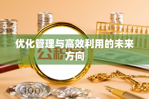 渝中优化管理与高效利用的未来方向