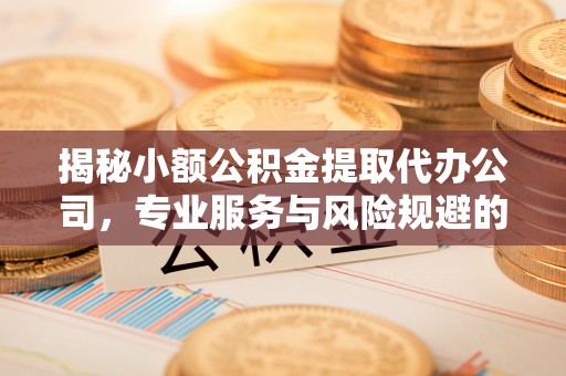 渝中揭秘小额公积金提取代办公司，专业服务与风险规避的平衡艺术