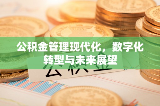 渝中公积金管理现代化，数字化转型与未来展望