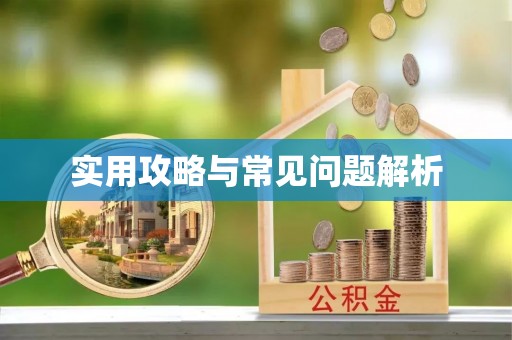 渝中实用攻略与常见问题解析