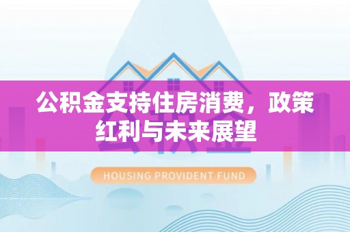 渝中公积金支持住房消费，政策红利与未来展望