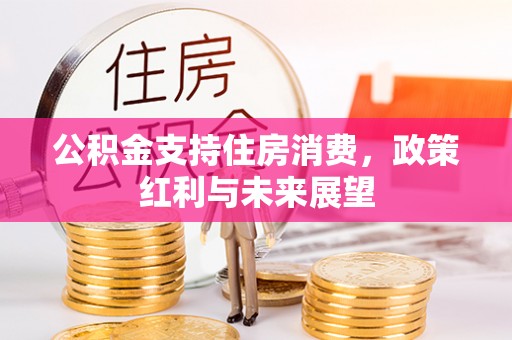 渝中公积金支持住房消费，政策红利与未来展望