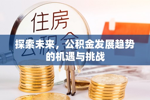 渝中探索未来，公积金发展趋势的机遇与挑战