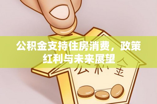 渝中公积金支持住房消费，政策红利与未来展望