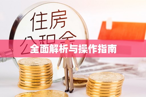 渝中全面解析与操作指南