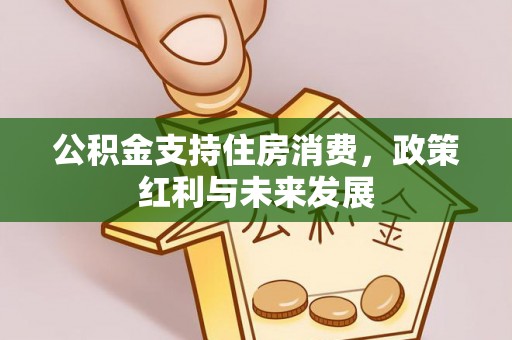 渝中公积金支持住房消费，政策红利与未来发展