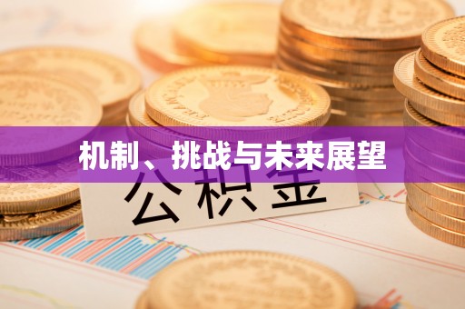渝中机制、挑战与未来展望