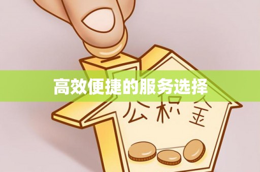 渝中高效便捷的服务选择