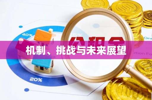 渝中机制、挑战与未来展望